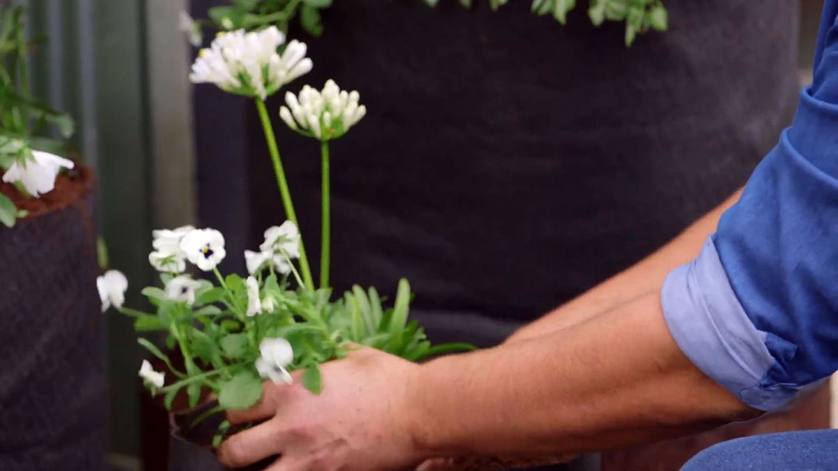 brico 0927 3 jardinera tela paso 8