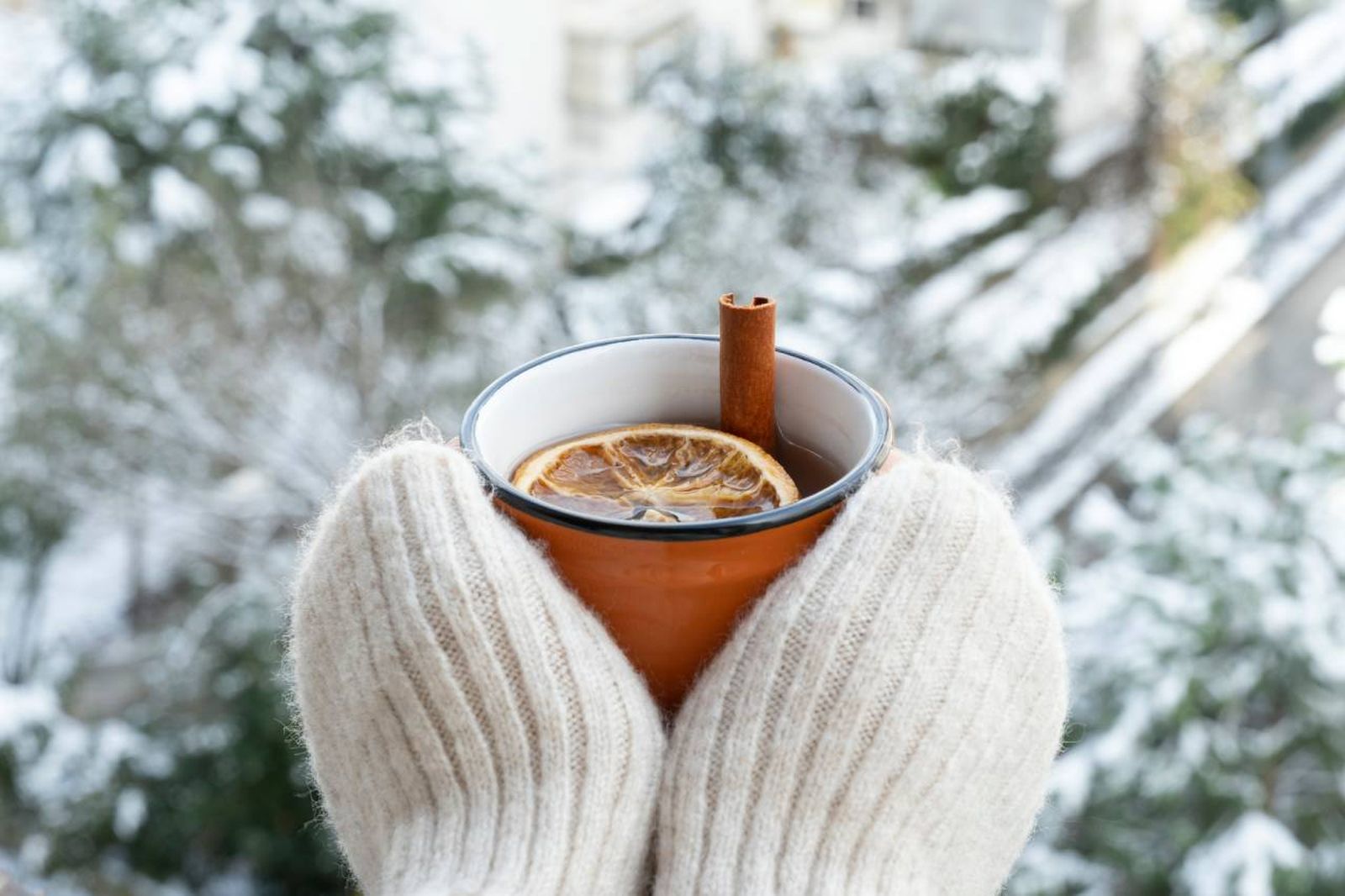 Las infusiones especiadas calientes son la bebida perfecta para los días fríos