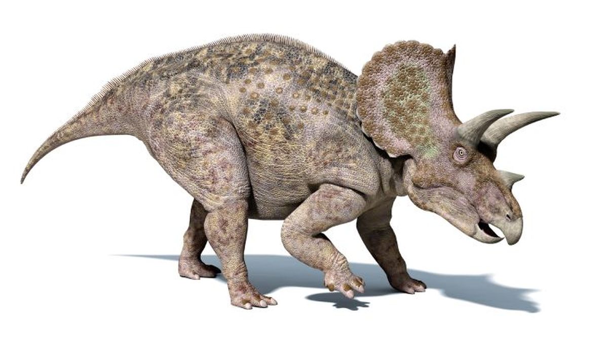 como eran los dinosaurios 8