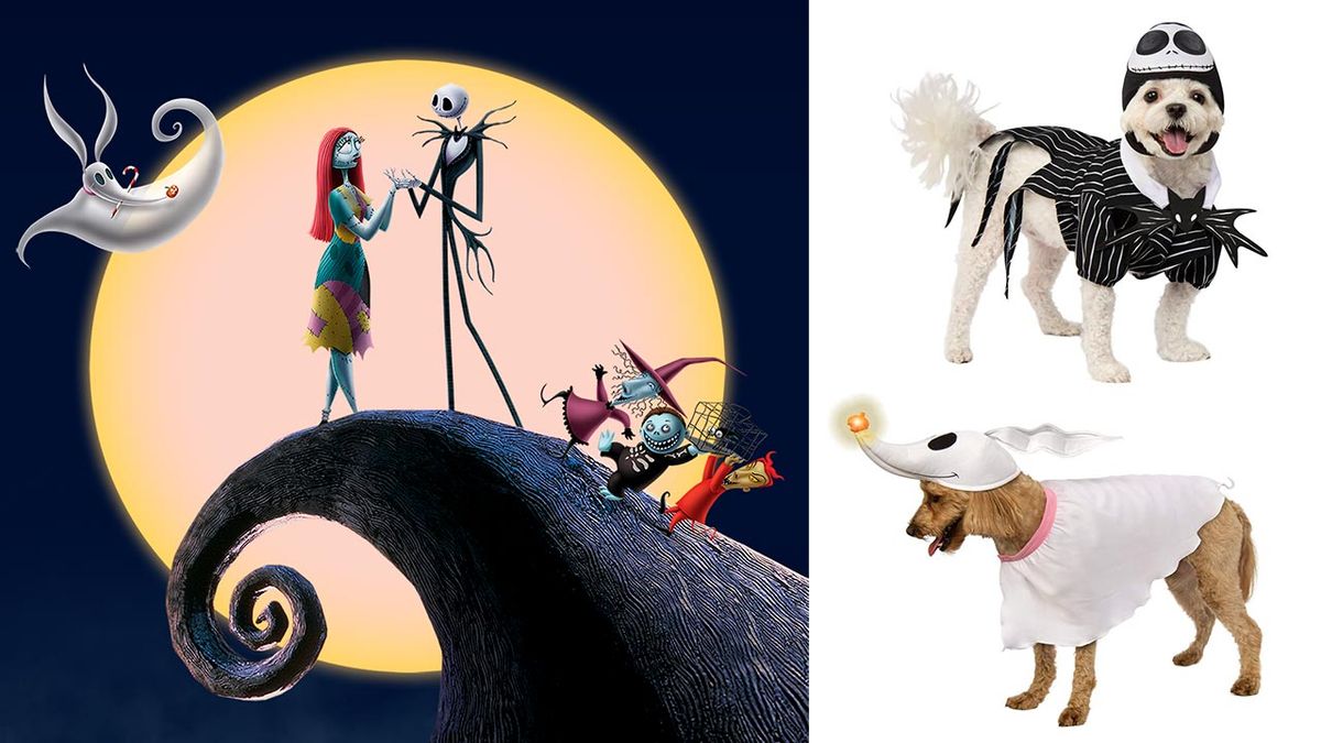 disfraces disney mascotas 14