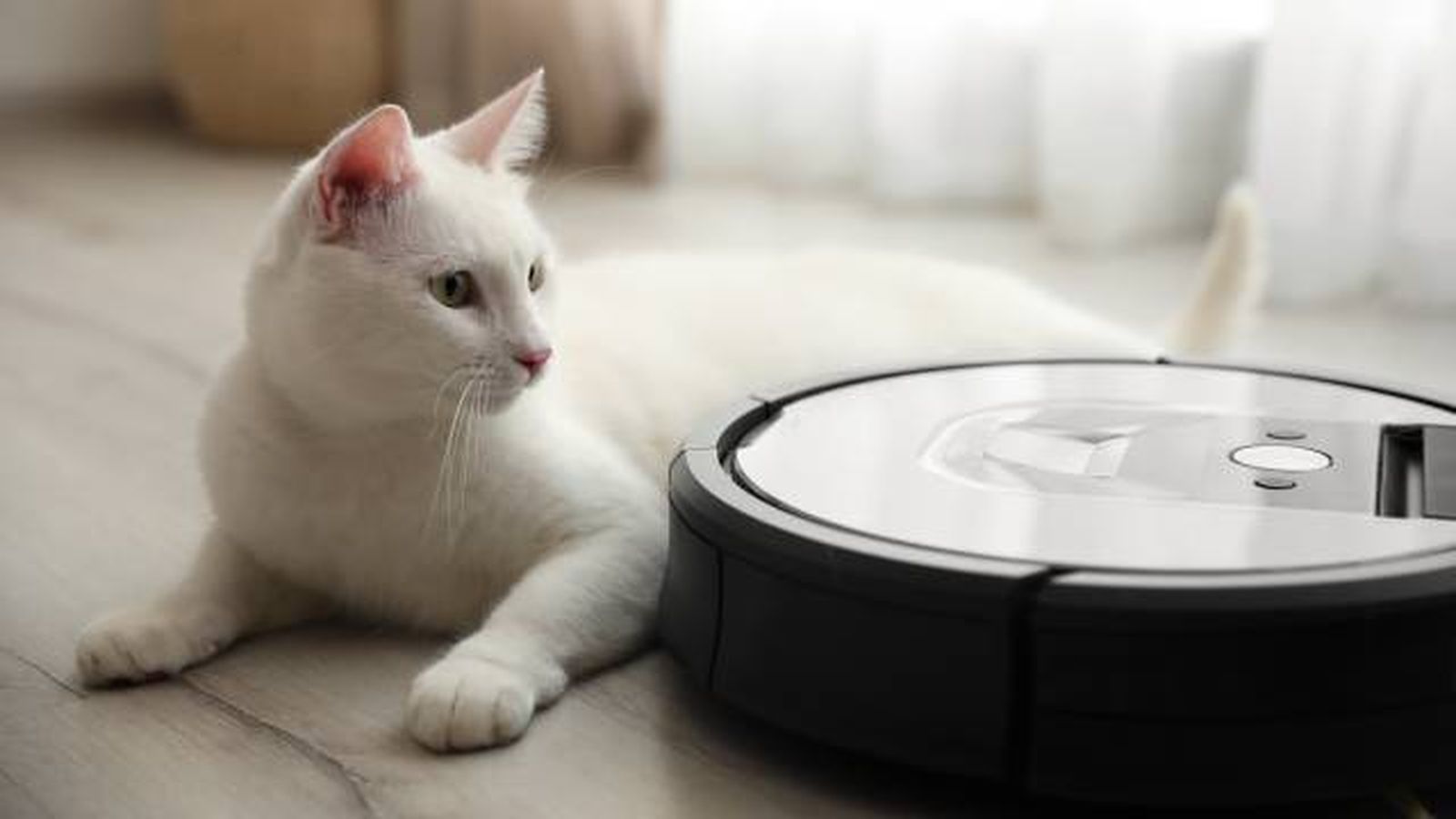 robot aspiradora automatico para limpiar pelo mascotas robot aspiradora automatico para limpiar pelo mascotas