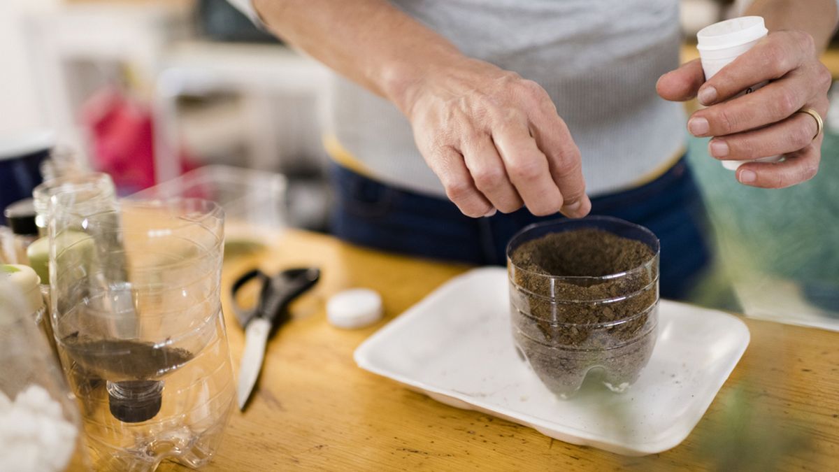 como hacer un semillero con una botella de plastico