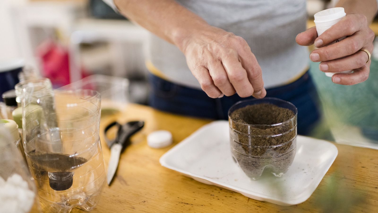 como hacer un semillero con una botella de plastico como hacer un semillero con una botella de plastico