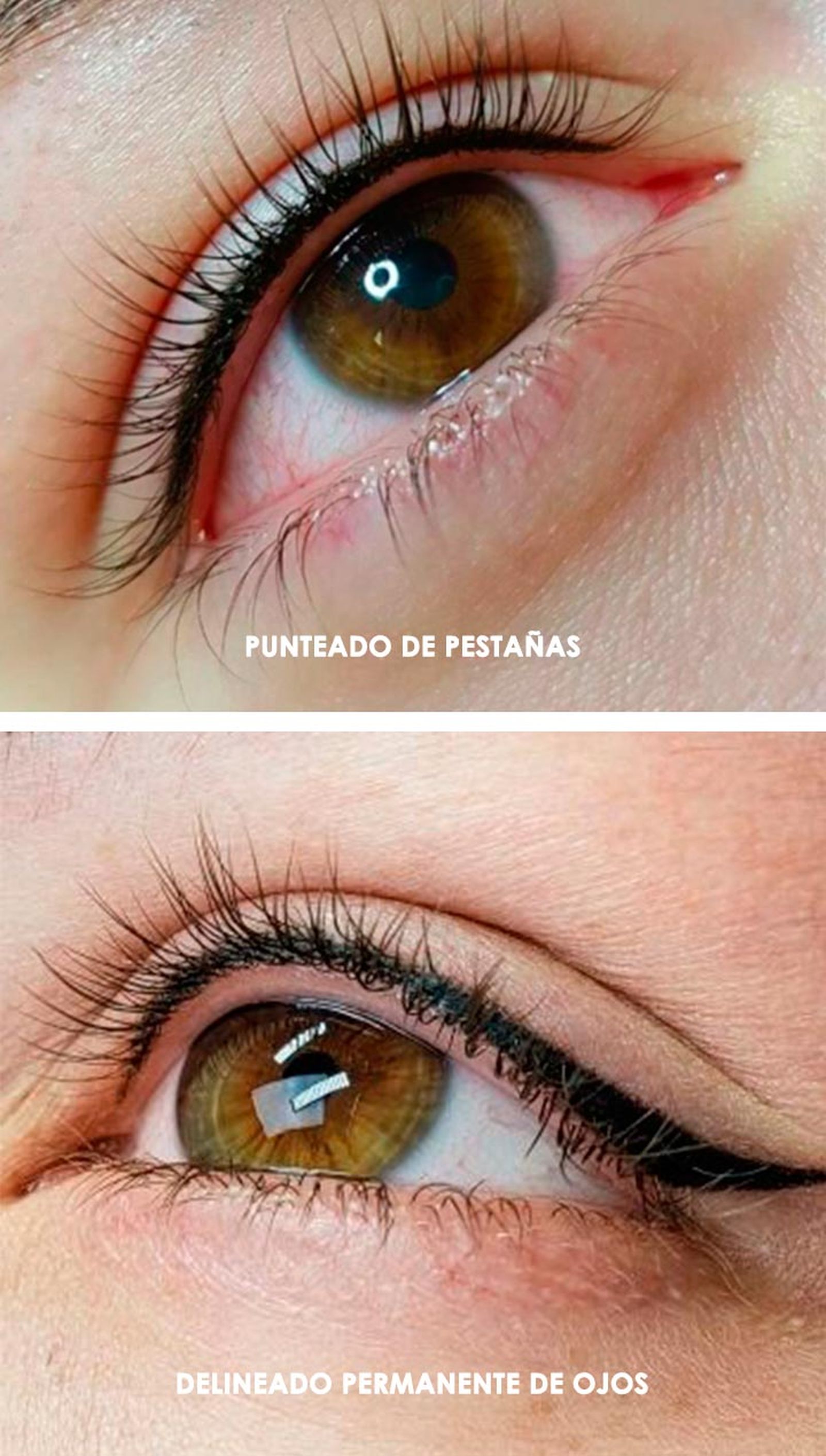 punteado de pestanas como se realiza punteado de pestanas como se realiza