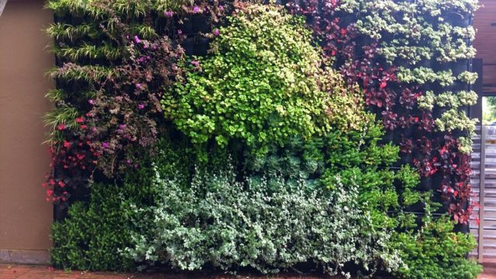 jardin vertical en exterior jardin vertical en exterior