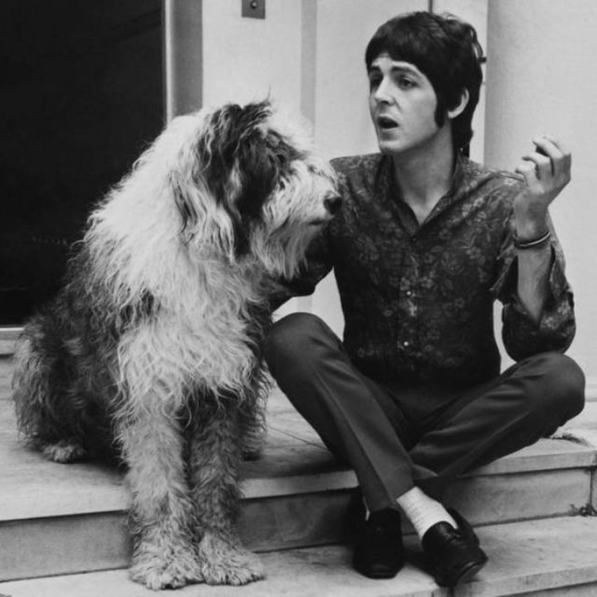 Paul McCartney y su perra Martha perra pastor ingles