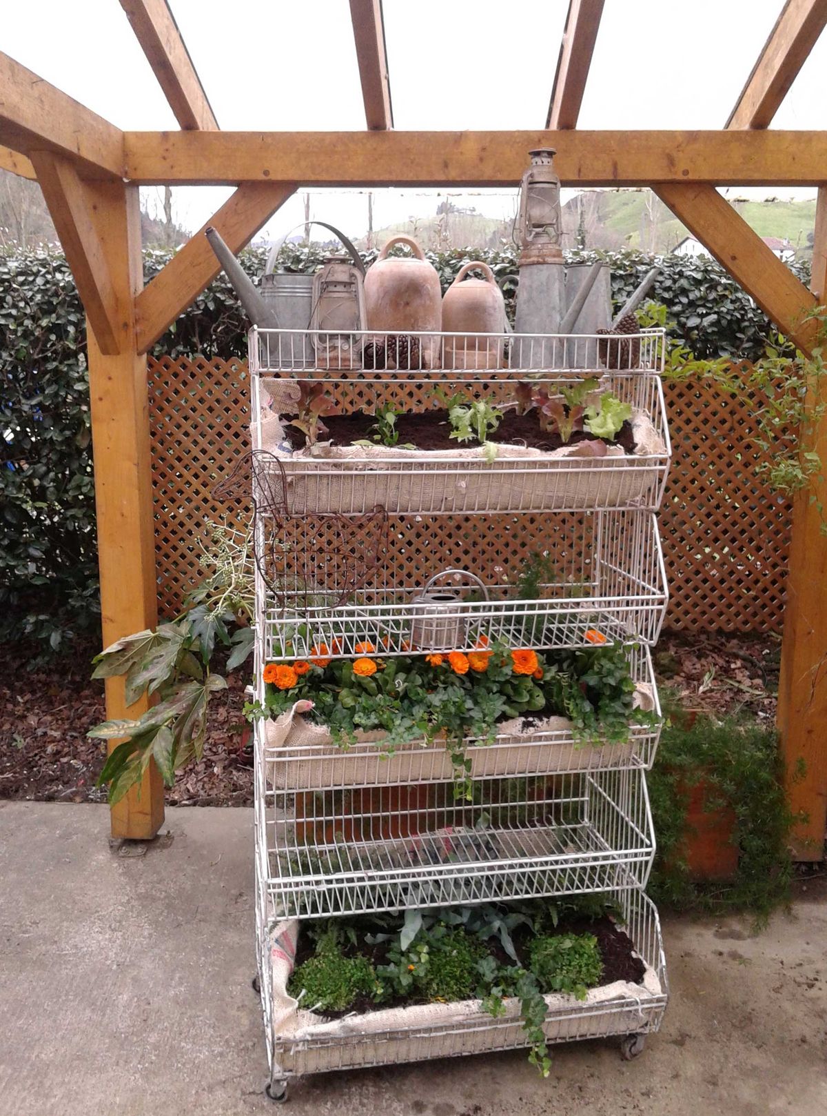 Jardín vertical reutilizando un frutero 1