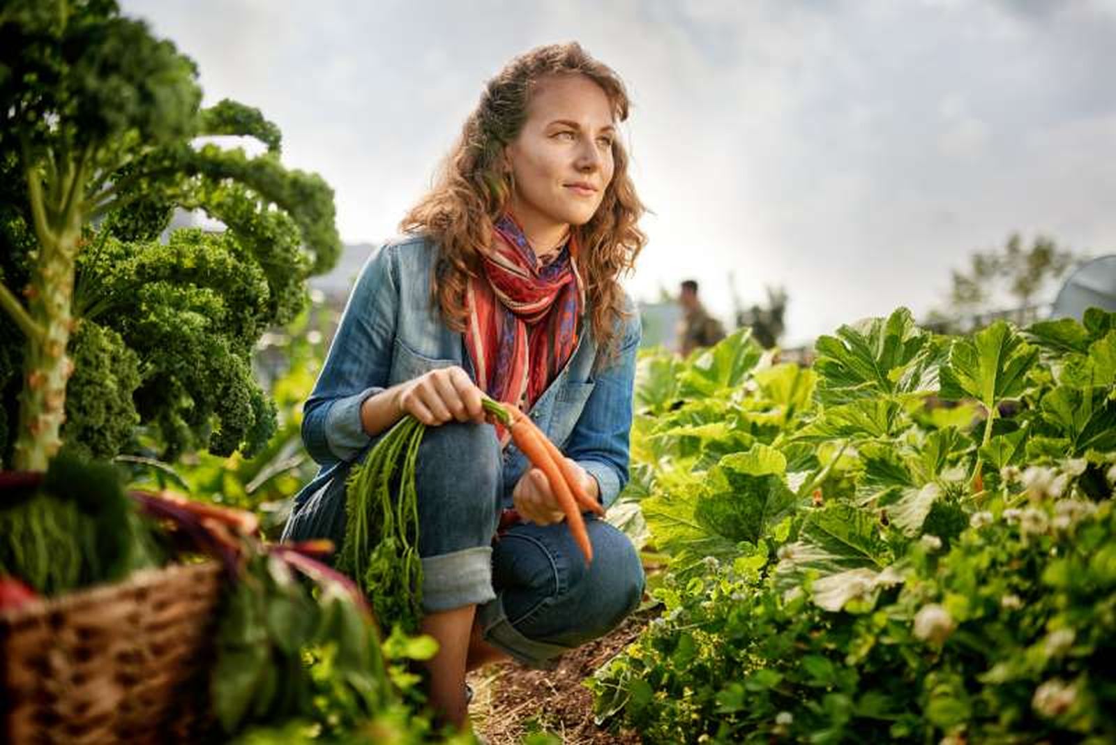 Las huertas sostenibles cultivan alimentos respetando el medio ambiente y promoviendo la biodiversidad. Las huertas sostenibles cultivan alimentos respetando el medio ambiente y promoviendo la biodiversidad.