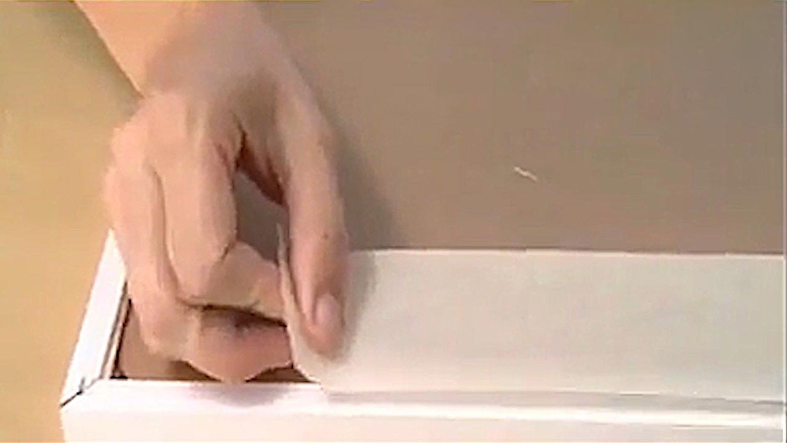Cómo hacer cuadros con elementos naturales p5 Cómo hacer cuadros con elementos naturales p5