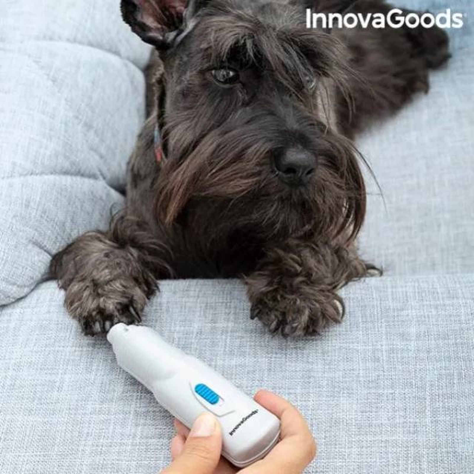 limadora de unas electrica recargable para perros y gatos Pedipets LeroyMerlin limadora de unas electrica recargable para perros y gatos Pedipets LeroyMerlin