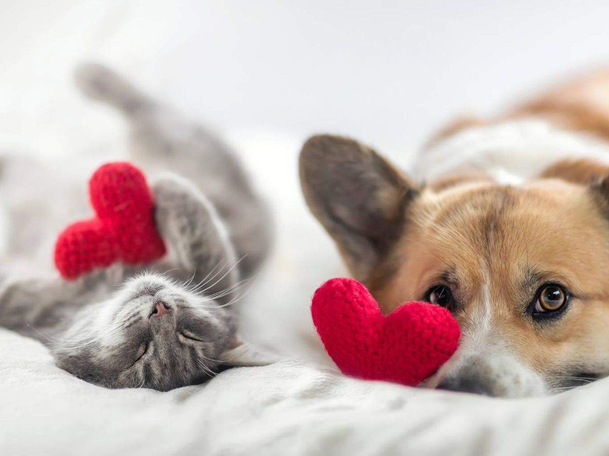 Su amor incondicional deja una huella que permanece para siempre en nuestros corazones.