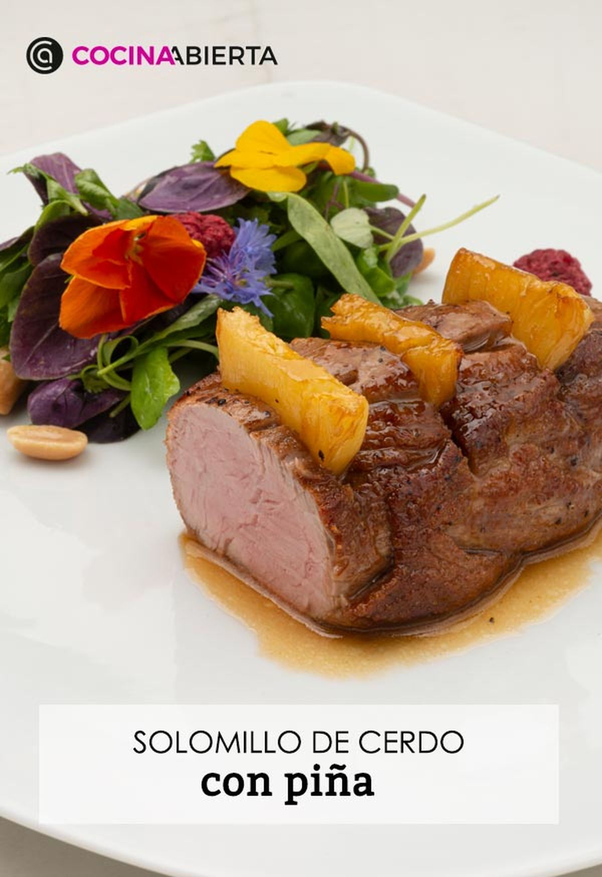 karl6608 solomillo pina v