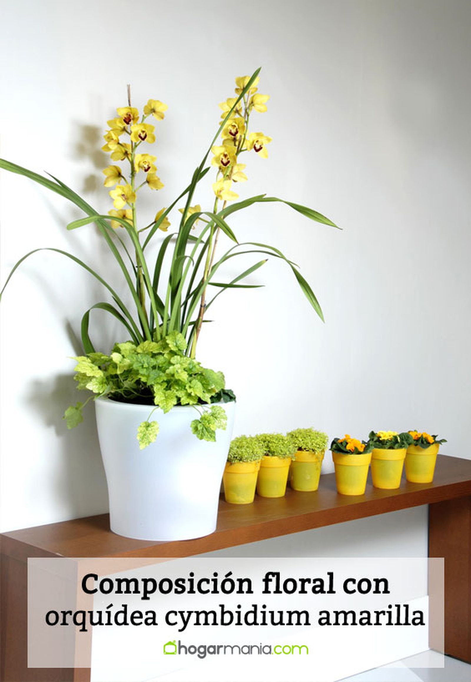deko 0225 cimbidio amarillo composicion detalle