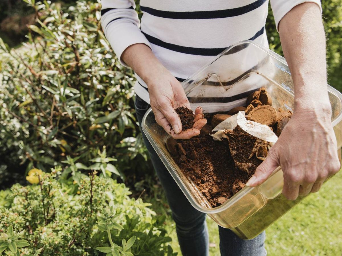 Esparcir posos de café