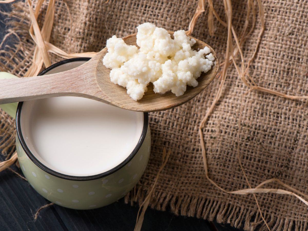 Conoce qué es el kéfir, sus beneficios y cómo elaborarlo en casa