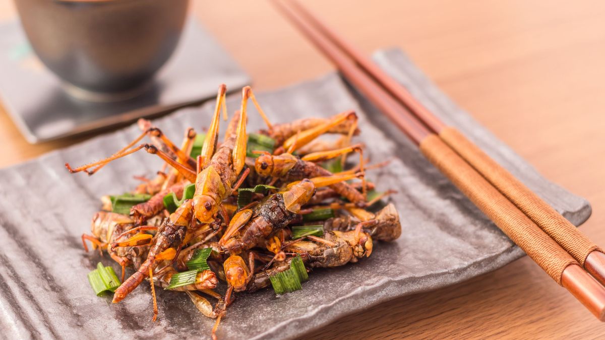 En muchos países, comer insectos es ya una realidad