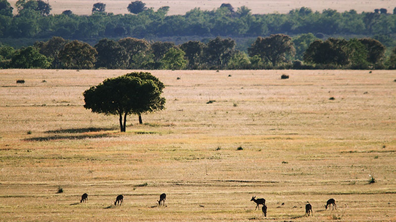 parque nacional de cabaneros