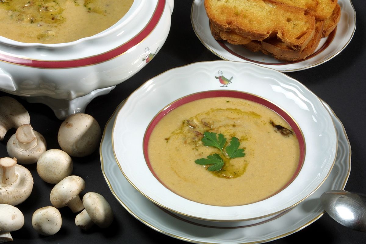 crema champinones xl