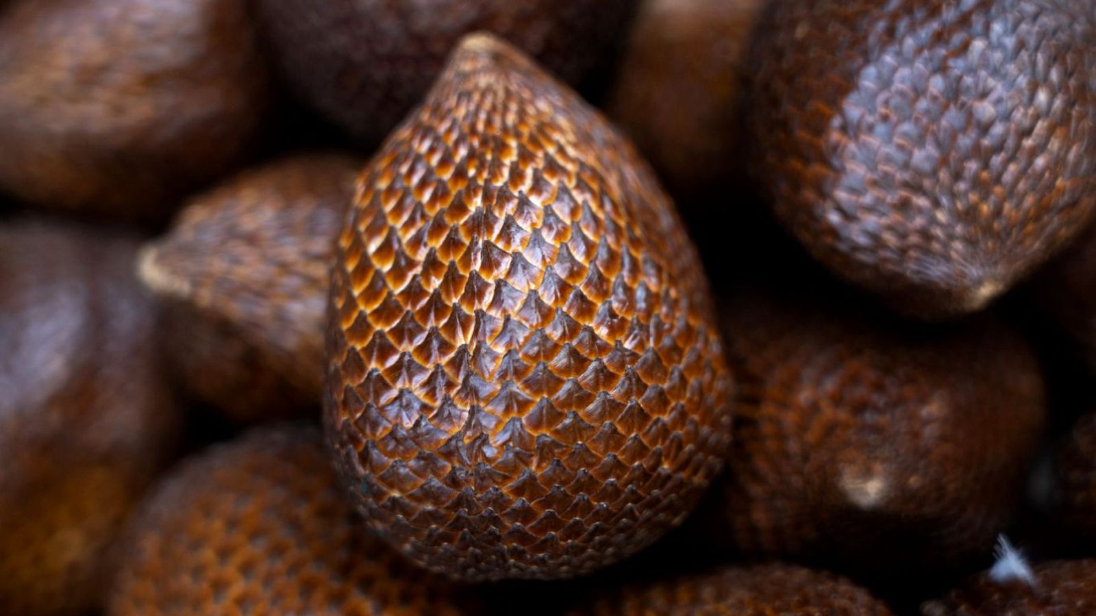 Salak o fruta de piel de serpiente
