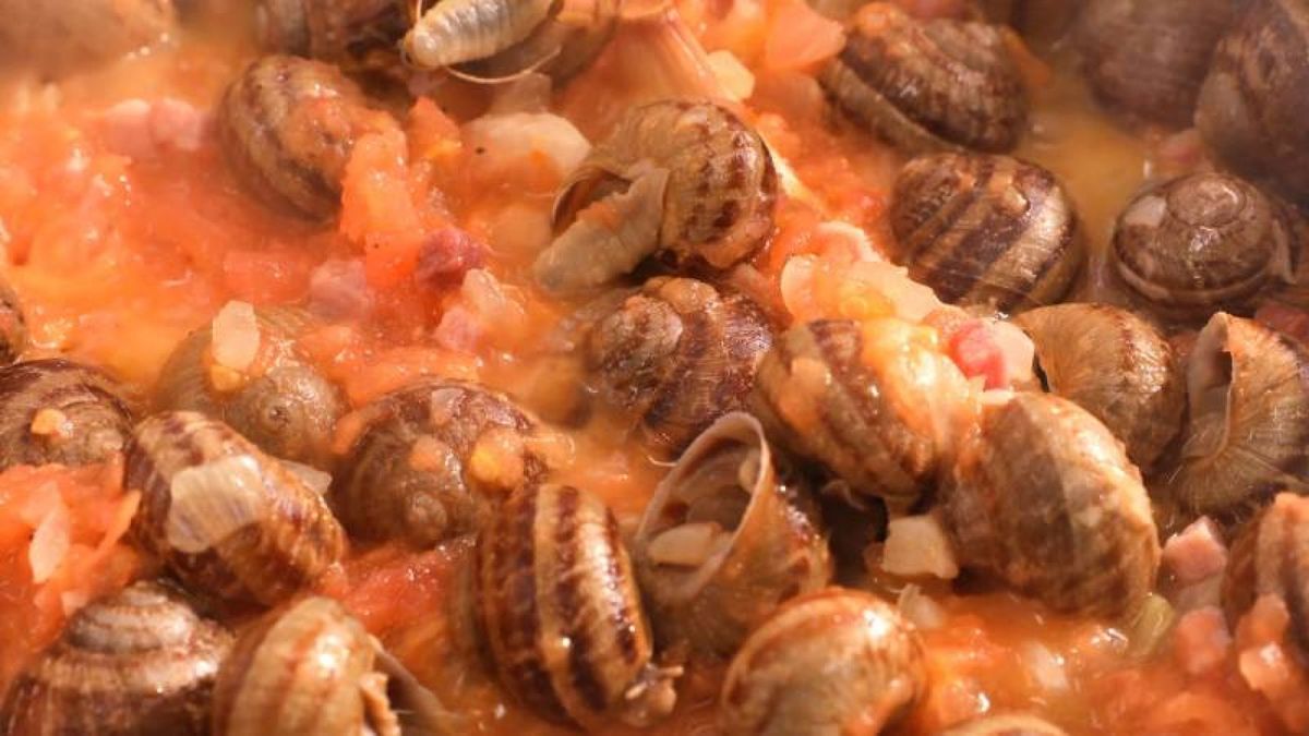 Incorpora la pulpa de tomate, sal y pimienta a los caracoles y deja cocinar para intensificar los sabores en este delicioso plato