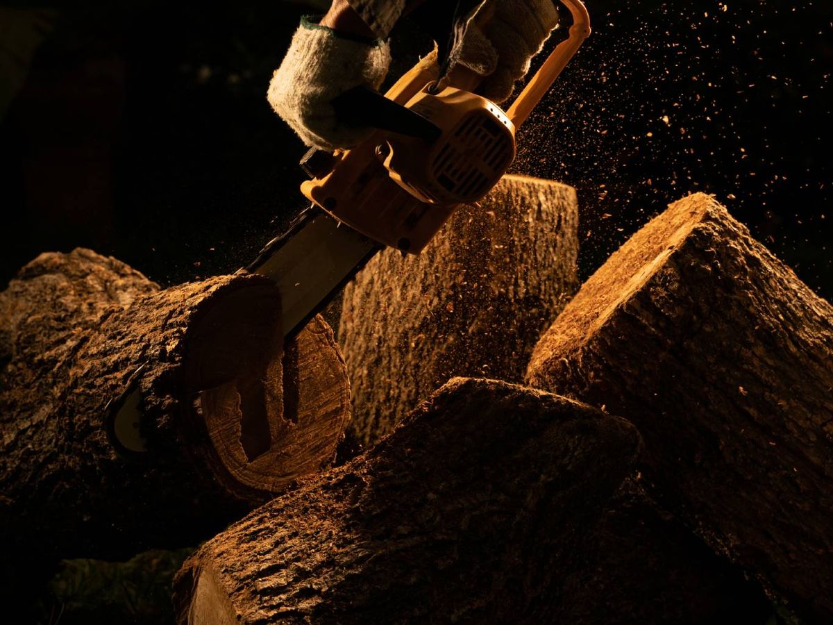 La motosierra de Lidl ofrece una excelente relación calidad-precio.