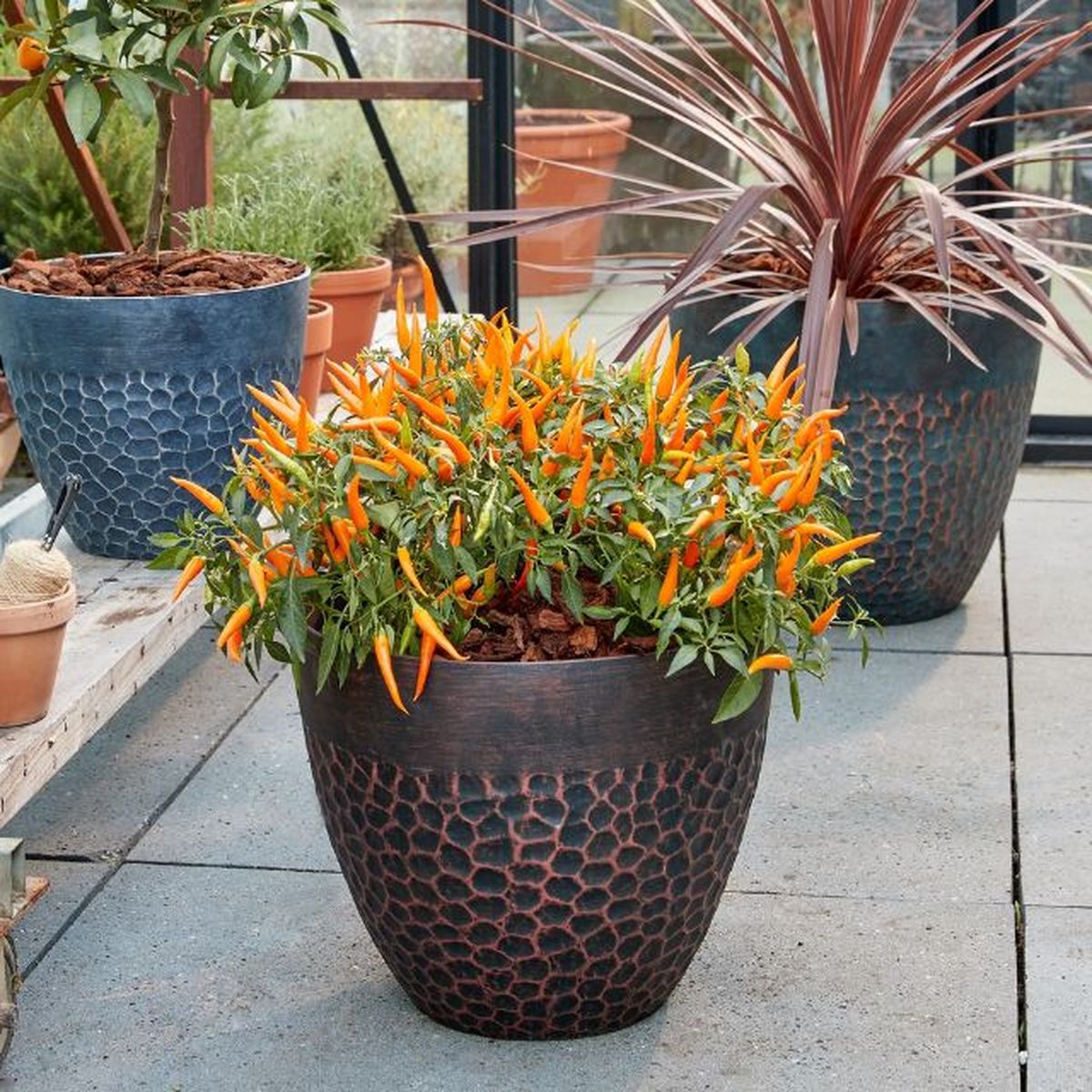 maceta de plastico martillado Mica decorations