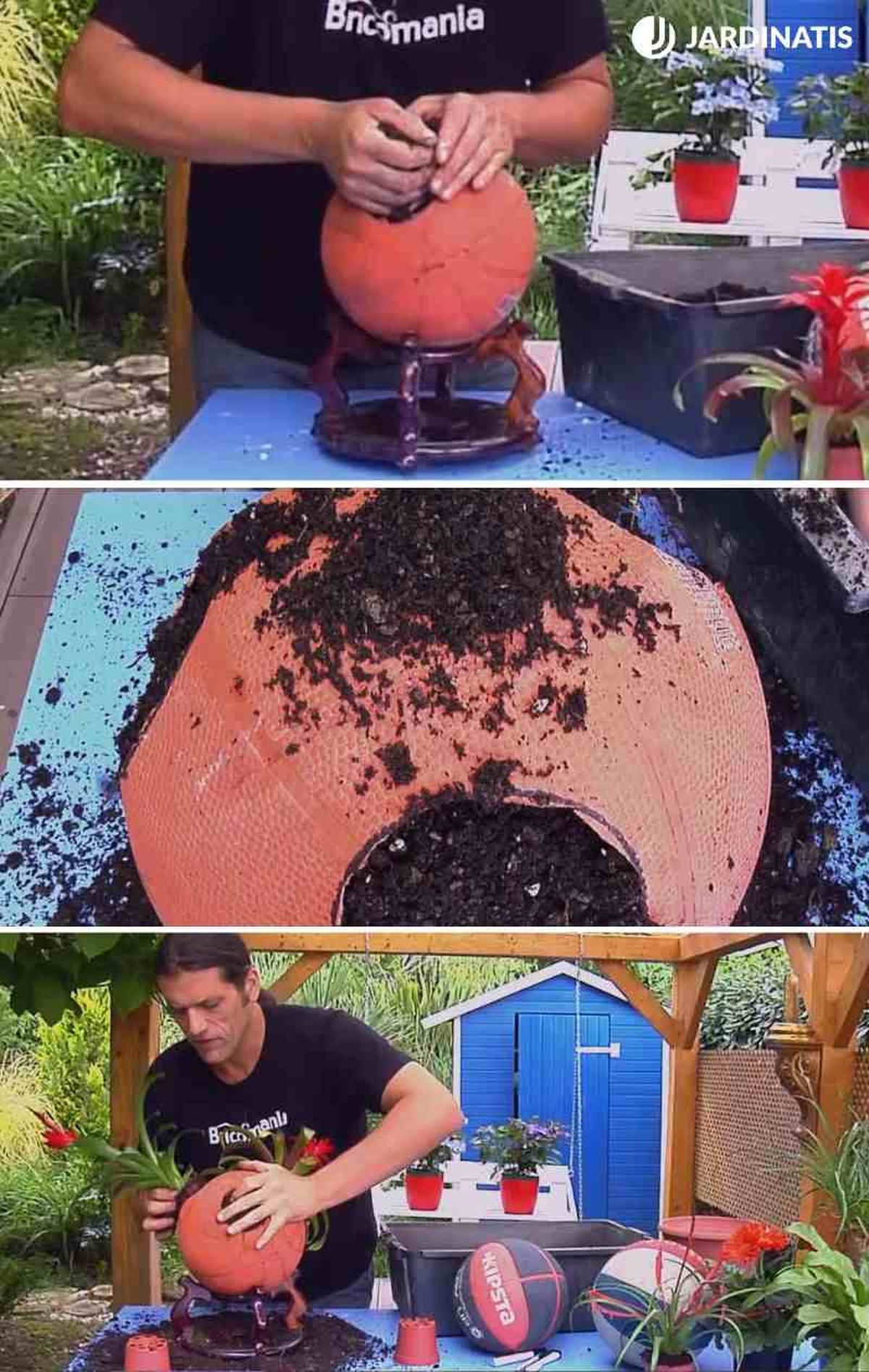 Llena con sustrato e introduce las plantas