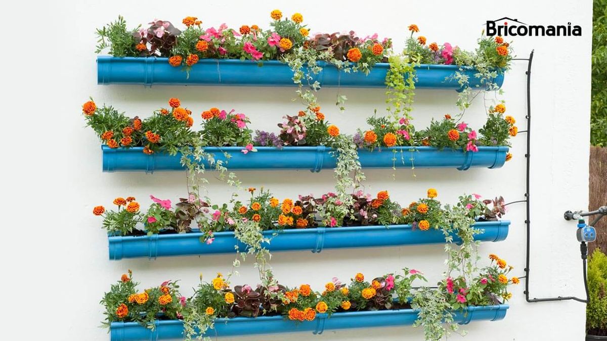 Brico 0657 canalon florido xl