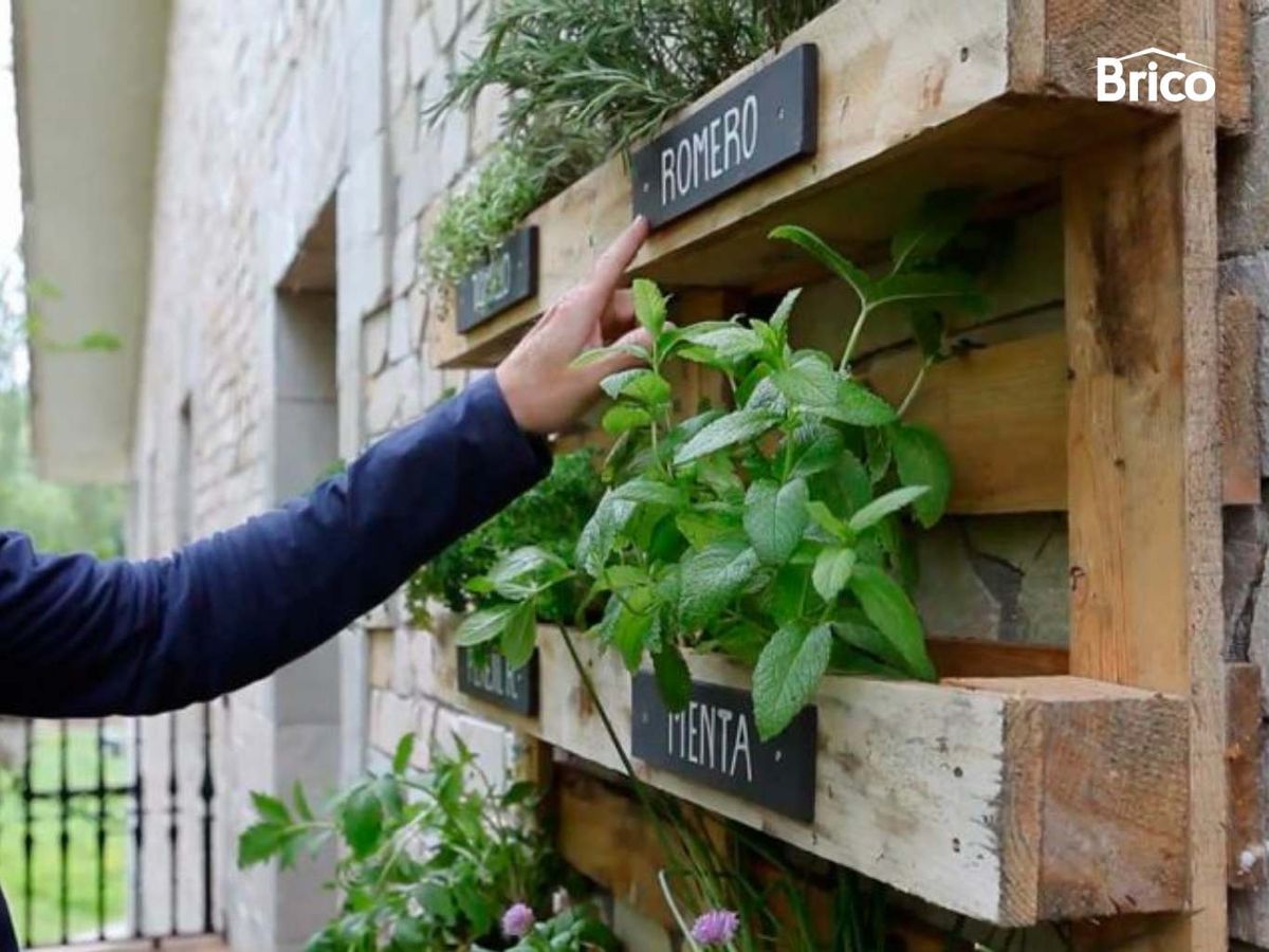 Huerto de aromáticas hecho con palets
