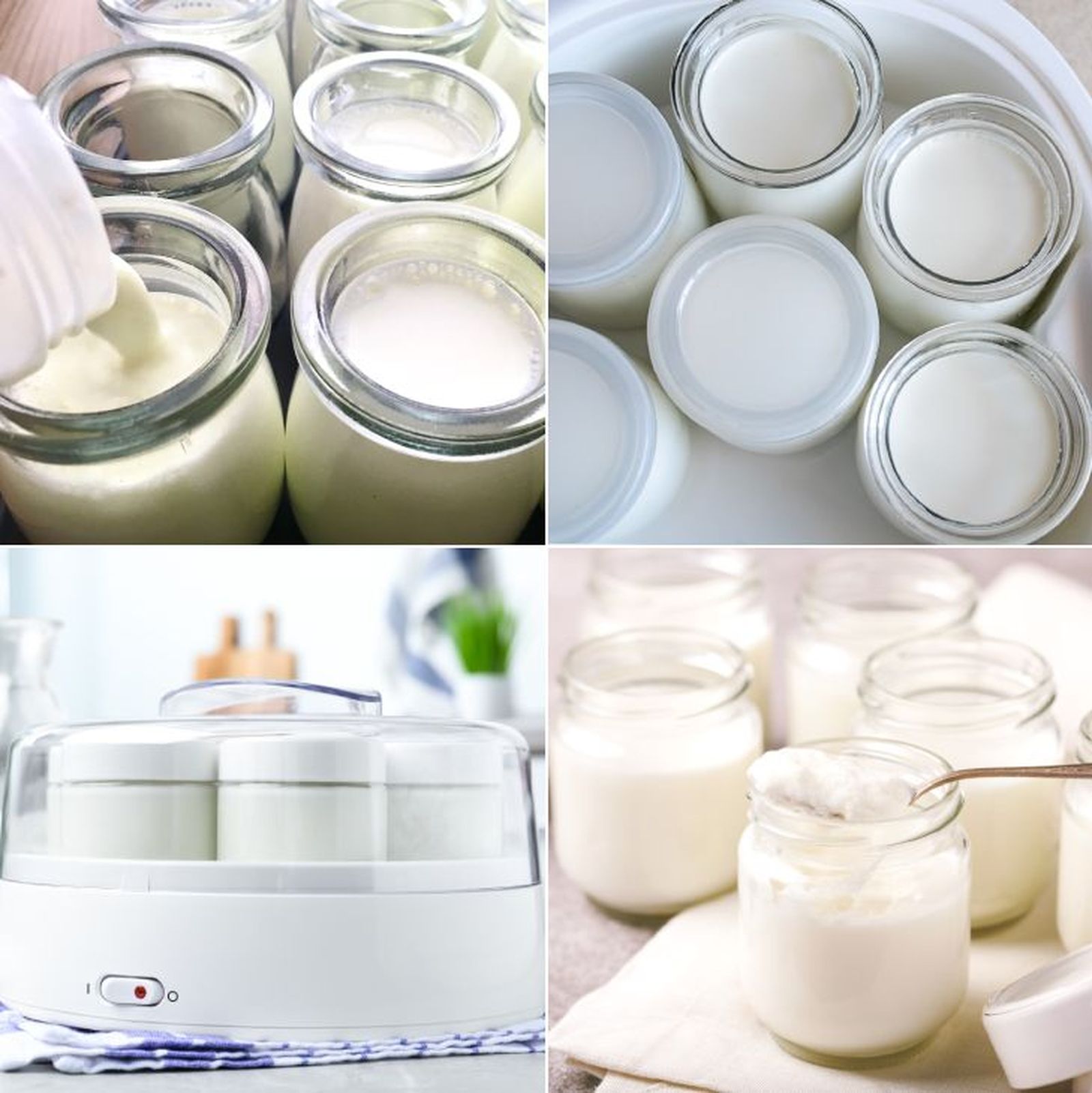 como hacer yogur natural en yogurtera como hacer yogur natural en yogurtera