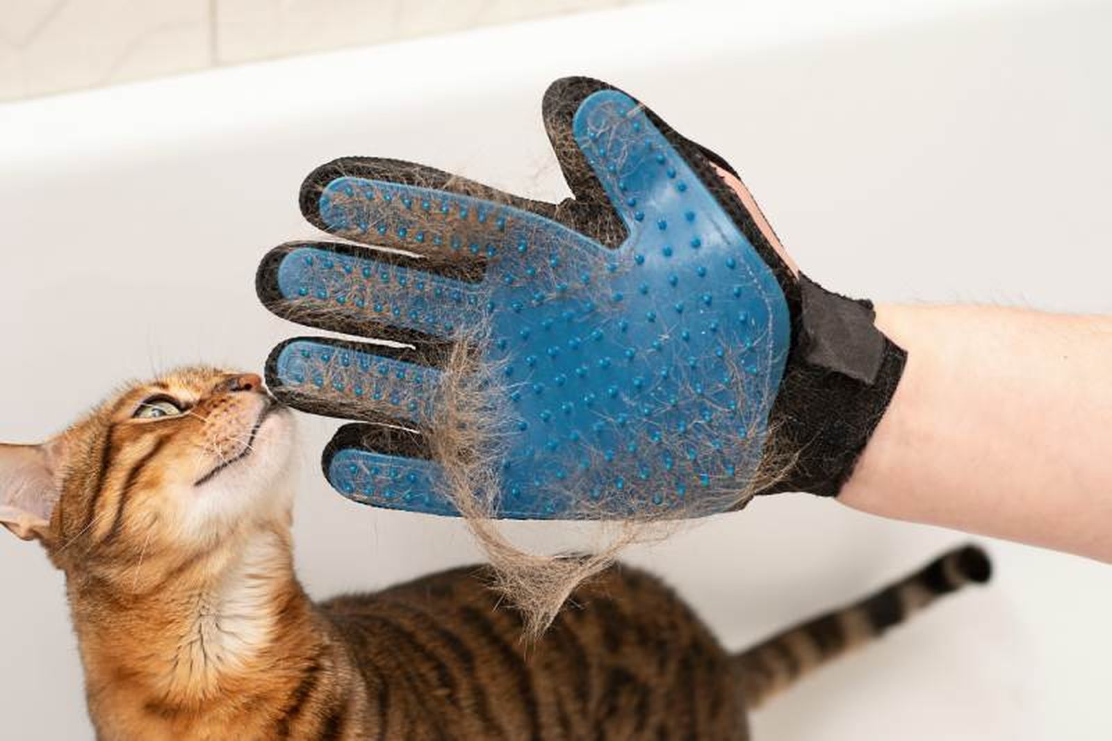 Guante especial para quitar los pelos del gato