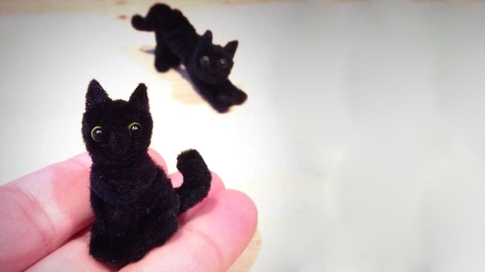 gatito negro