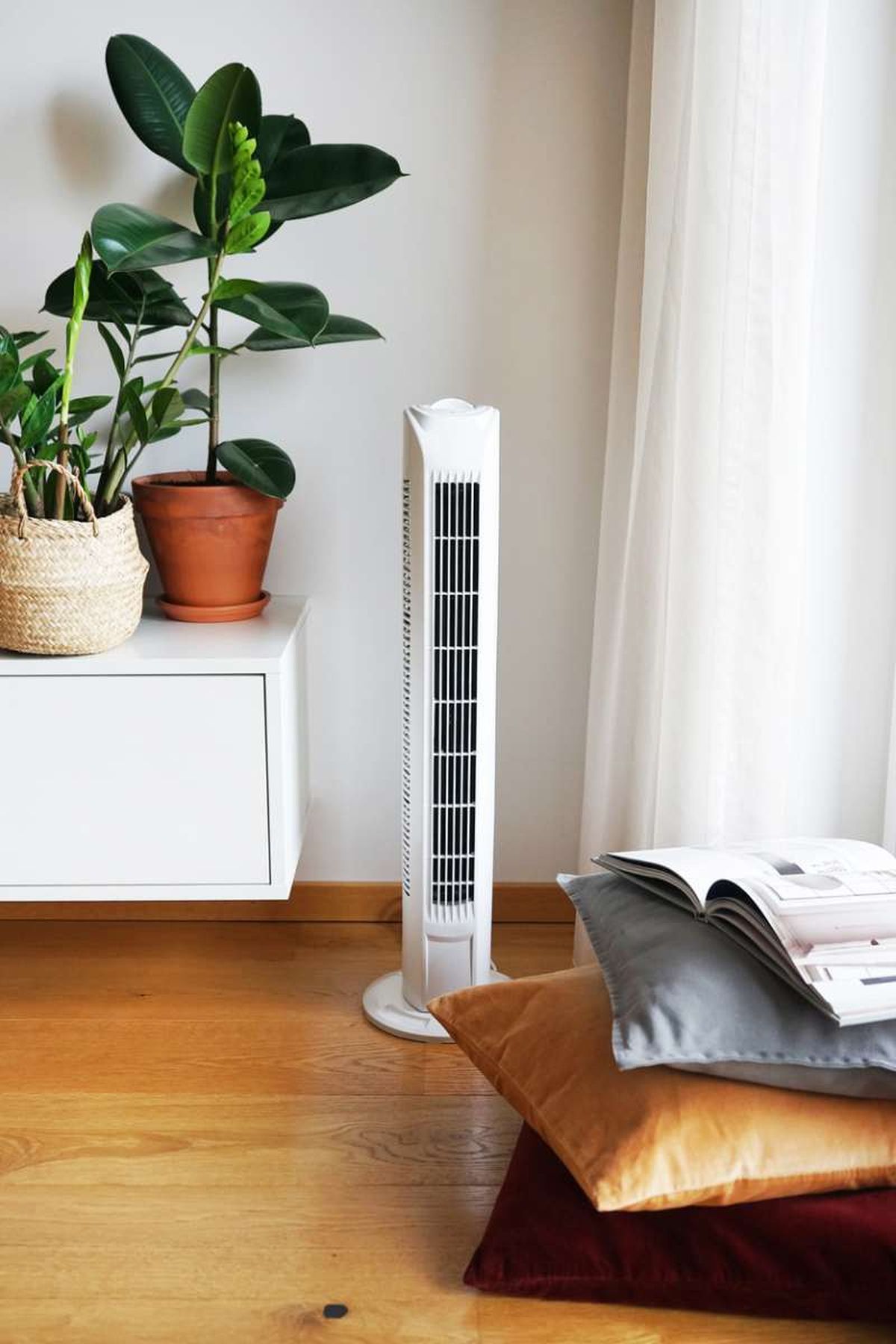 Plantas de interior cerca de un foco de calor