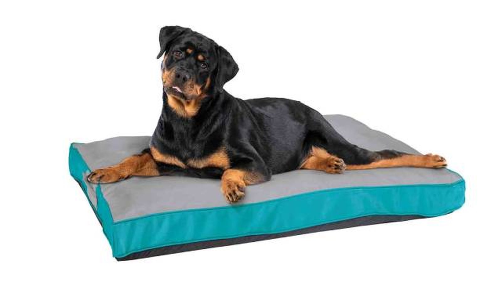 cama de perro para exteriores impermeable modelo3 lidl mascotas.jpg cama de perro para exteriores impermeable modelo3 lidl mascotas.jpg