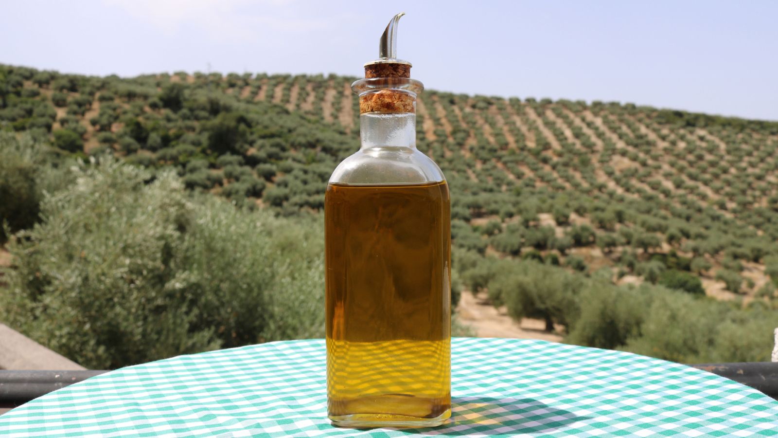 Aceite de oliva virgen extra, reflejo del paisaje y del trabajo en el olivar.