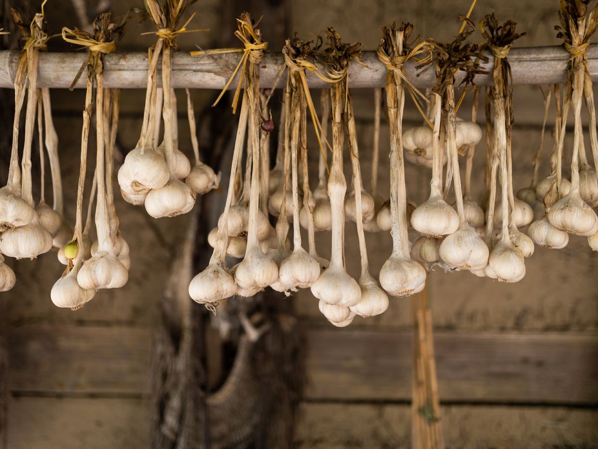 En los pueblos mediterráneos, colgar ajos en puertas y ventanas era una forma de mantener alejadas las malas energías.