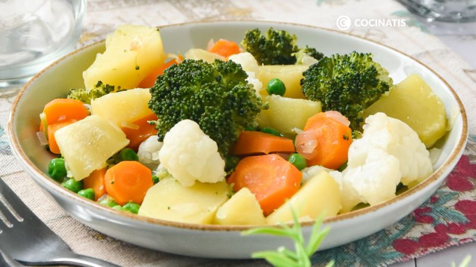 Plato de panaché de verduras Plato de panaché de verduras