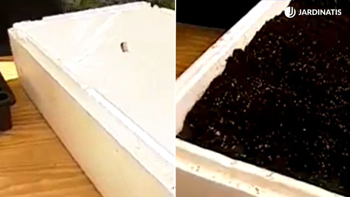 bandejas de poliexpan como semilleros brico 526