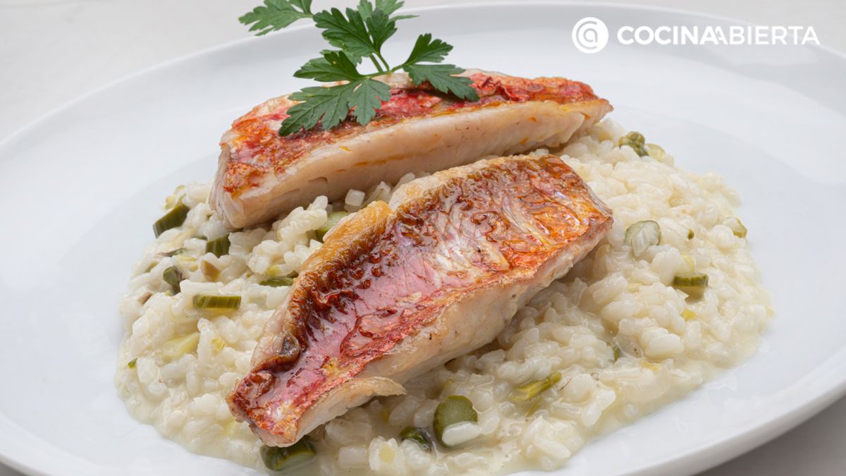 karl6781 risotto salmonetes xl