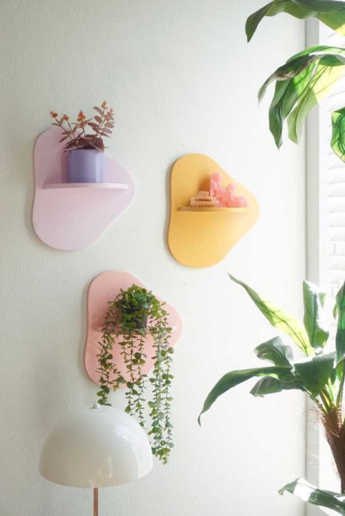 Repisas originales y coloridas para plantas.