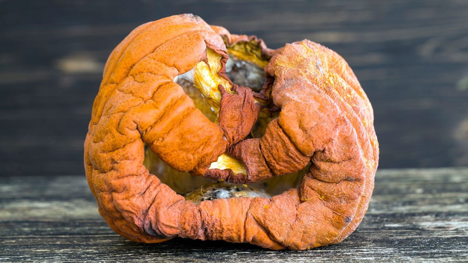 Cómo evitar que la calabaza se pudra