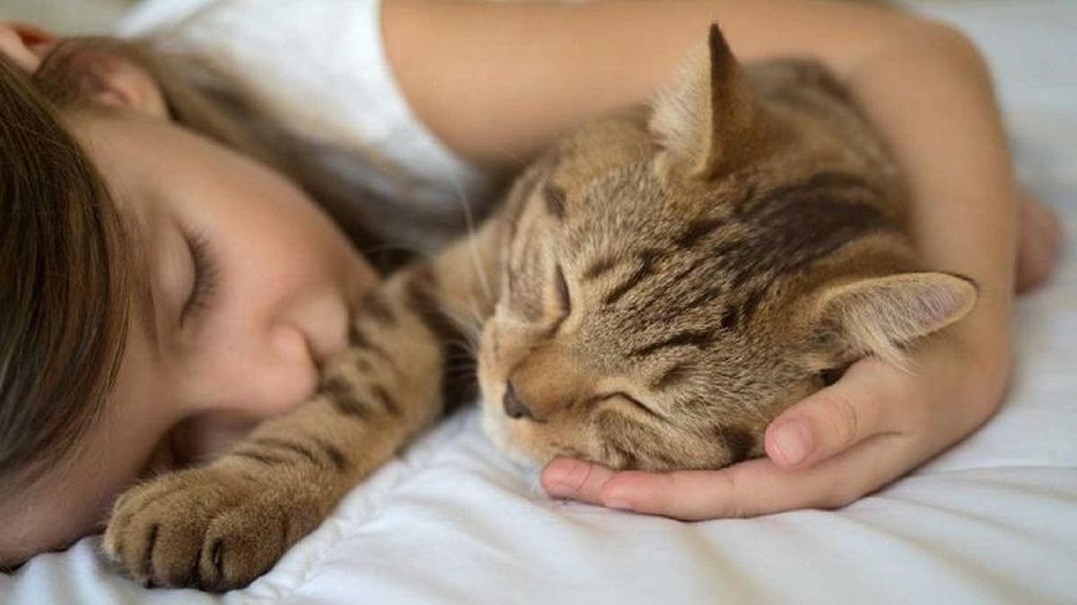 dormir con el gato 3