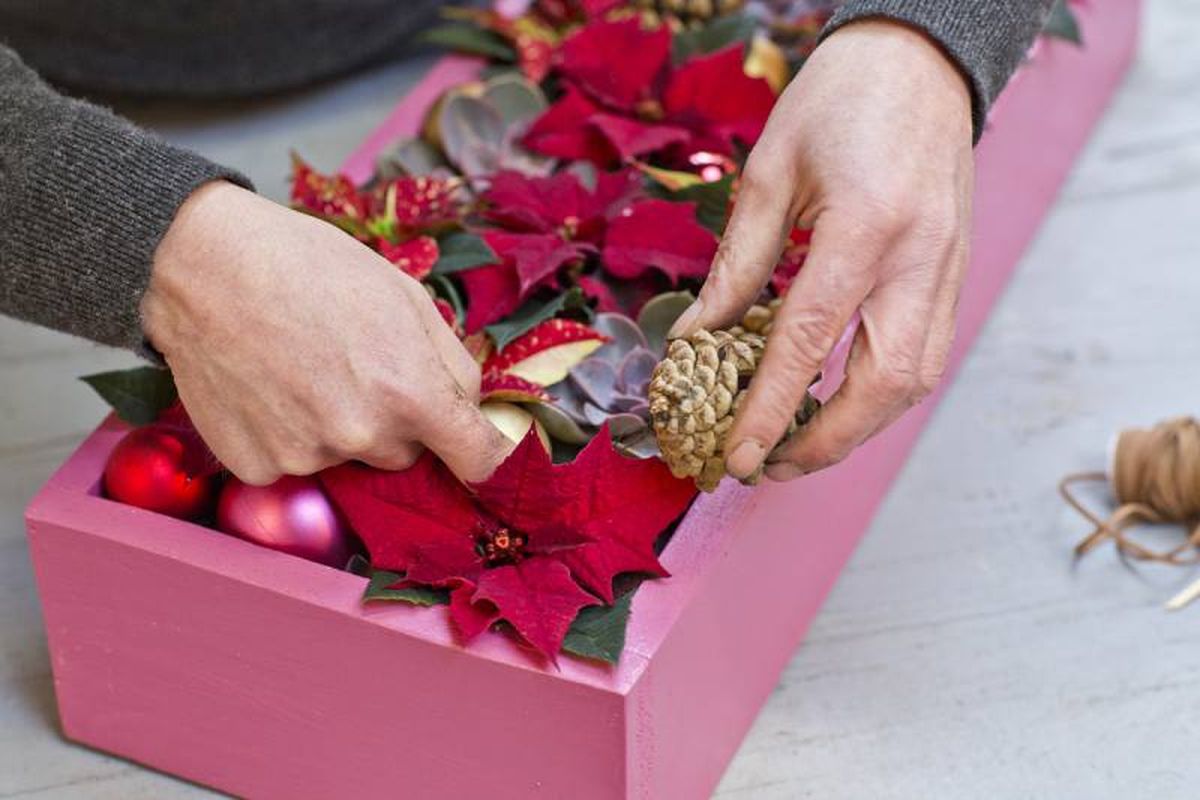 Meter las piñas secas en el centro de Navidad.