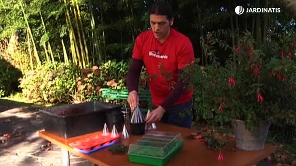 brico 724 semilleros esquejes pendientes de la reina 2