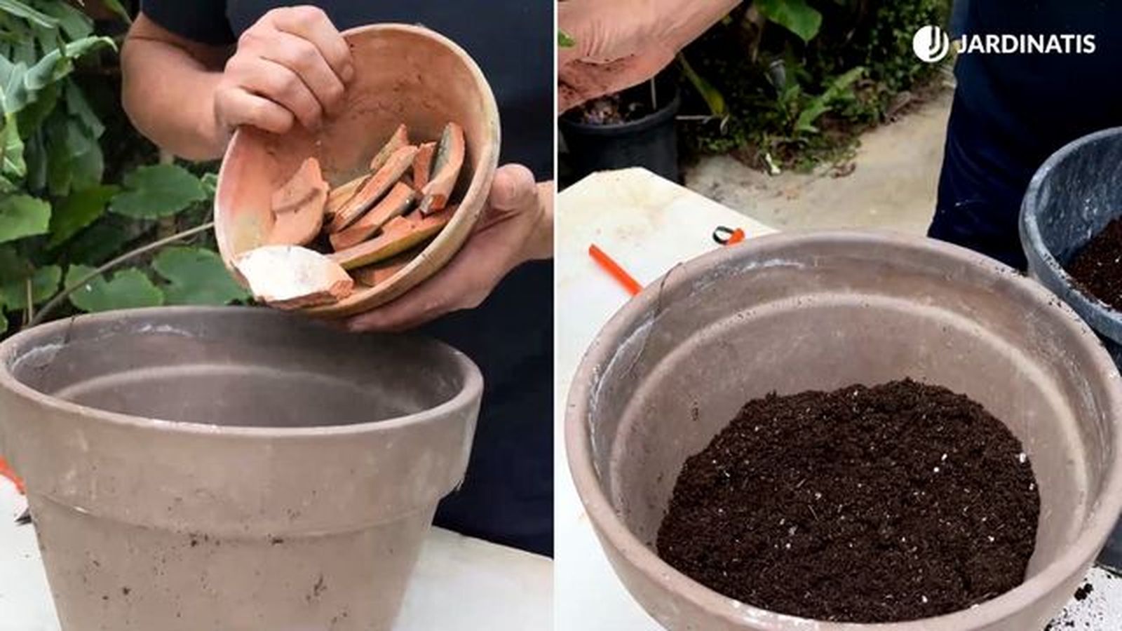 drenaje y sustrato para el tronco de brasil jardinatis 23 37 drenaje y sustrato para el tronco de brasil jardinatis 23 37