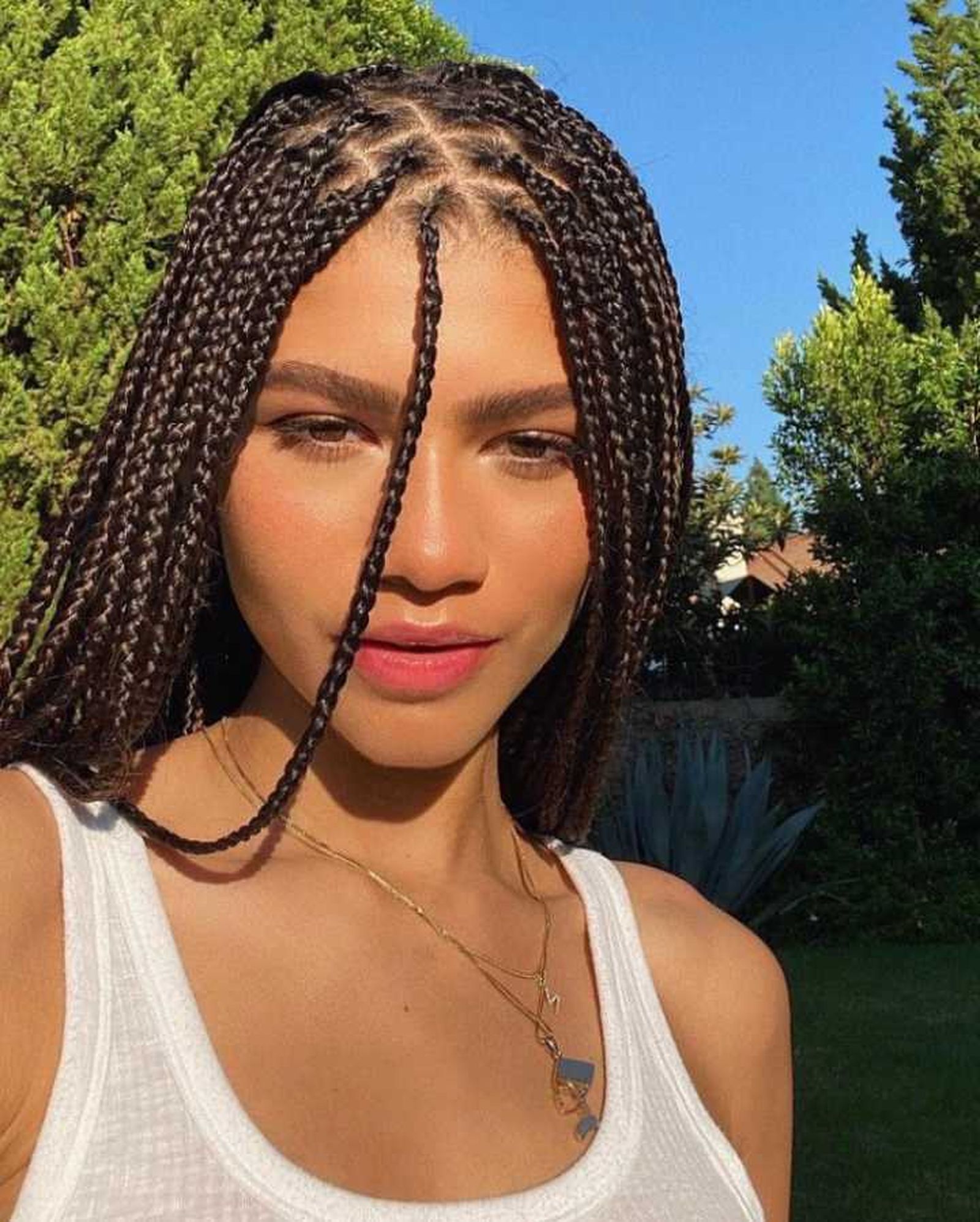 trenzas africanas zendaya trenzas africanas zendaya