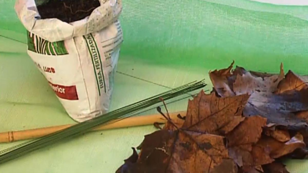 brico 031 construir tutor guia para las plantas paso 3