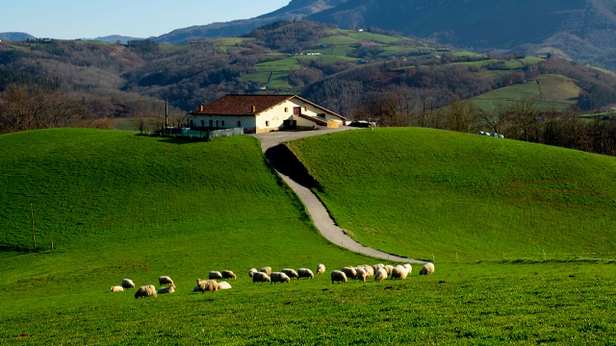 colores para fachadas de casas rusticas 3