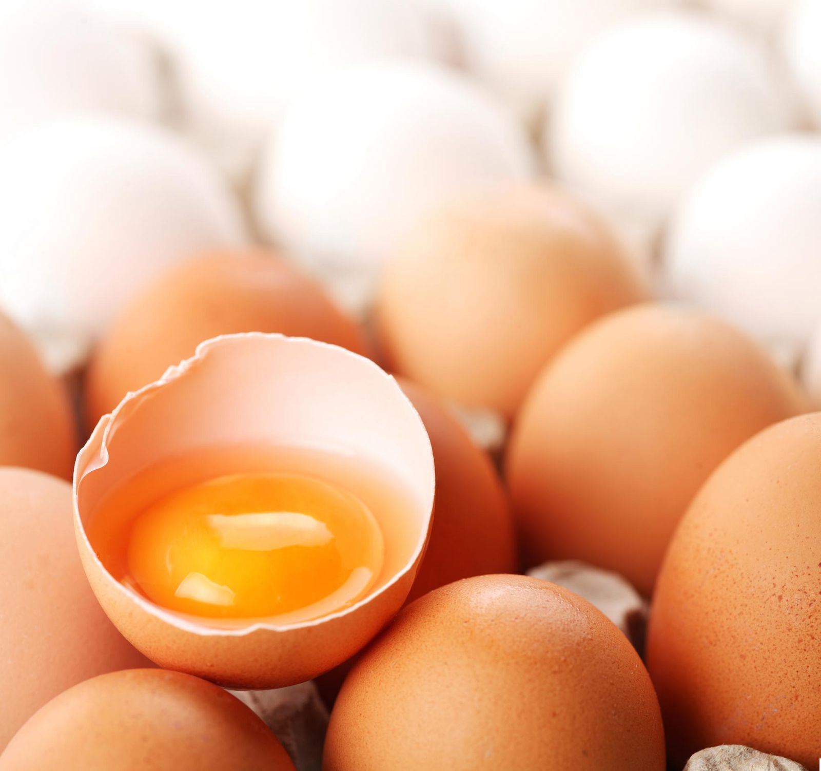 huevos xl