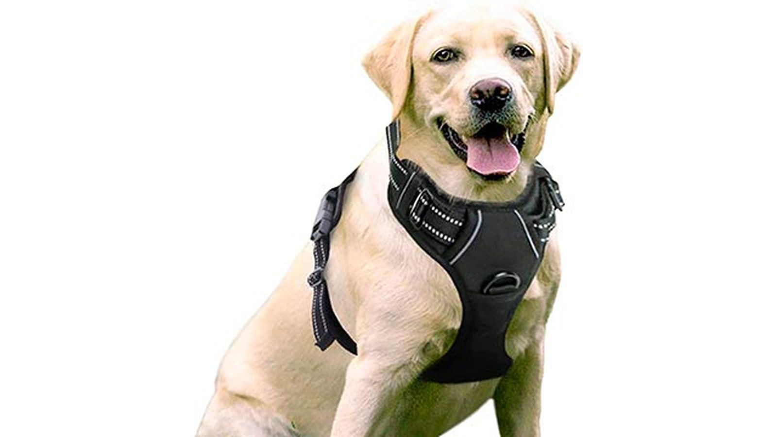 arnes para perros arnes para perros